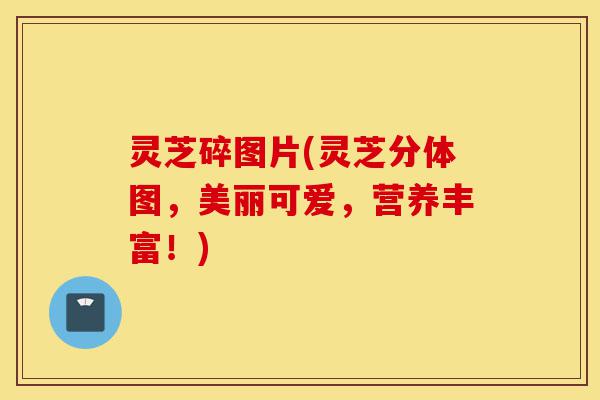 灵芝碎图片(灵芝分体图,美丽可爱,营养丰富!)-第1张图片-灵芝之家 灵芝碎图片(灵芝分体图,美丽可爱,营养丰富!)-第1张图片-灵芝之家