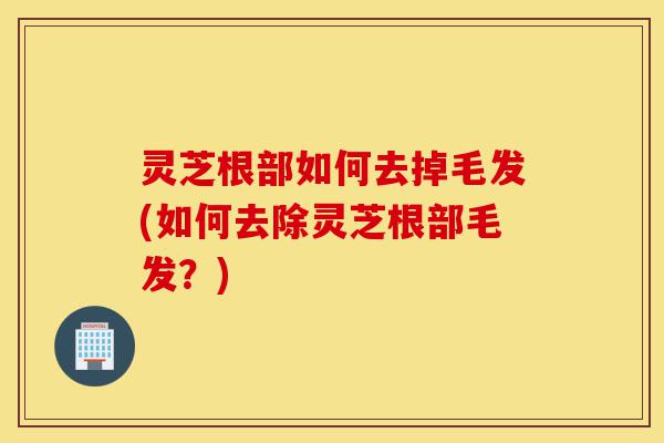 灵芝根部如何去掉毛发(如何去除灵芝根部毛发？)-第1张图片-灵芝之家