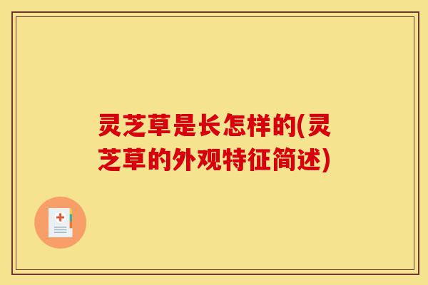 灵芝草是长怎样的(灵芝草的外观特征简述)-第1张图片-灵芝之家