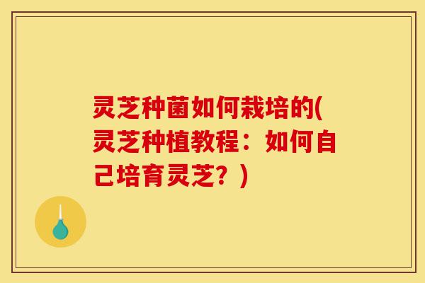 灵芝种菌如何栽培的(灵芝种植教程:如何自己培育灵芝?)-第1张图片-灵芝之家 灵芝种菌如何栽培的(灵芝种植教程:如何自己培育灵芝?)-第1张图片-灵芝之家