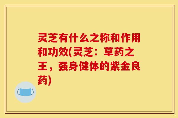 灵芝有什么之称和作用和功效(灵芝:草药之王,强身健体的紫金良药)-第1张图片-灵芝之家 灵芝有什么之称和作用和功效(灵芝:草药之王,强身健体的紫金良药)-第1张图片-灵芝之家