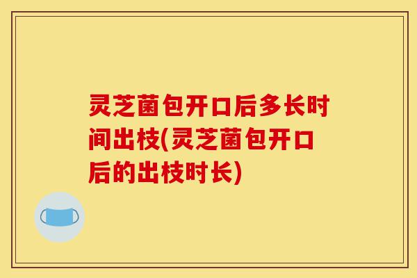 灵芝菌包开口后多长时间出枝(灵芝菌包开口后的出枝时长)-第1张图片-灵芝之家