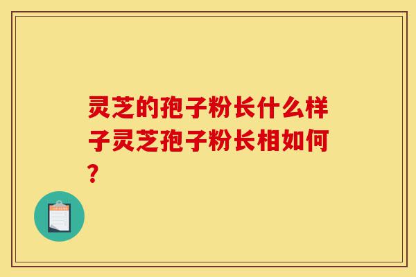 灵芝的孢子粉长什么样子灵芝孢子粉长相如何？-第1张图片-灵芝之家