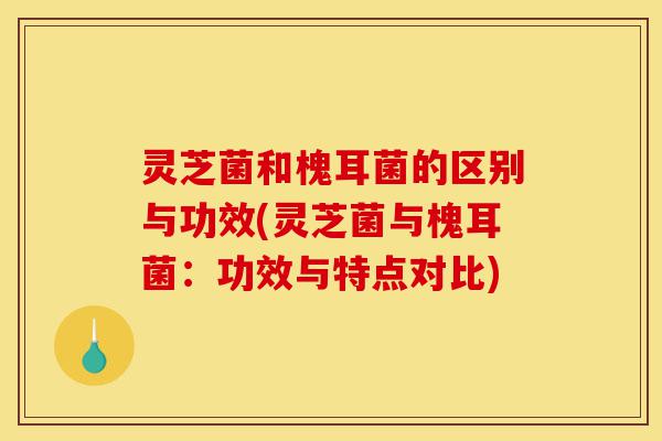 灵芝菌和槐耳菌的区别与功效(灵芝菌与槐耳菌:功效与特点对比)-第1张图片-灵芝之家 灵芝菌和槐耳菌的区别与功效(灵芝菌与槐耳菌:功效与特点对比)-第1张图片-灵芝之家