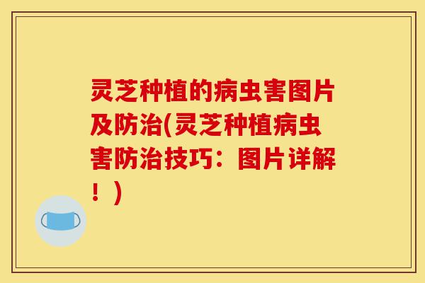 灵芝种植的病虫害图片及防治(灵芝种植病虫害防治技巧:图片详解!)-第1张图片-灵芝之家 灵芝种植的病虫害图片及防治(灵芝种植病虫害防治技巧:图片详解!)-第1张图片-灵芝之家