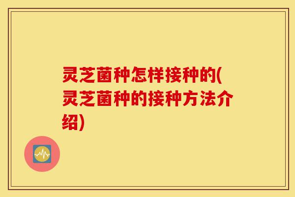 灵芝菌种怎样接种的(灵芝菌种的接种方法介绍)-第1张图片-灵芝之家 灵芝菌种怎样接种的(灵芝菌种的接种方法介绍)-第1张图片-灵芝之家