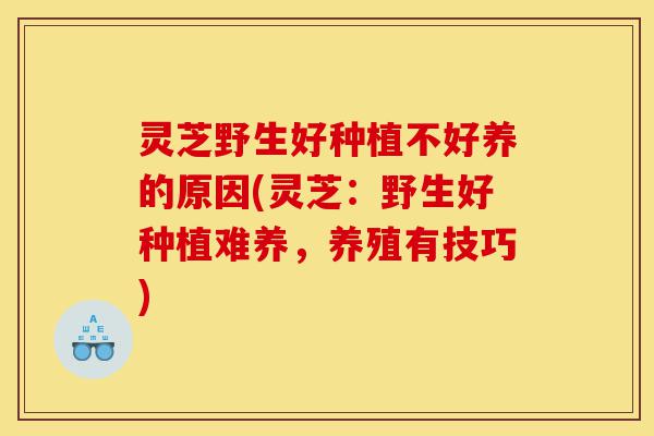 灵芝野生好种植不好养的原因(灵芝:野生好种植难养,养殖有技巧)-第1张图片-灵芝之家 灵芝野生好种植不好养的原因(灵芝:野生好种植难养,养殖有技巧)-第1张图片-灵芝之家
