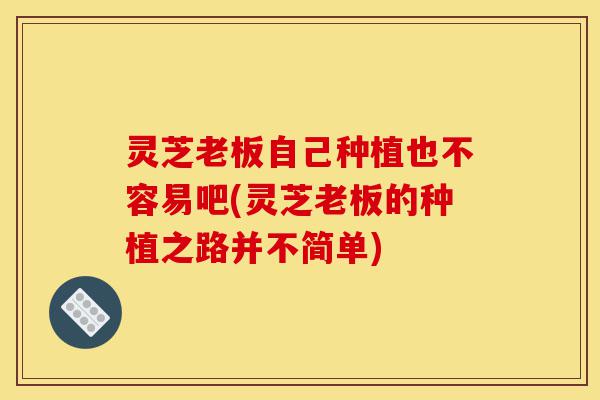 灵芝老板自己种植也不容易吧(灵芝老板的种植之路并不简单)-第1张图片-灵芝之家 灵芝老板自己种植也不容易吧(灵芝老板的种植之路并不简单)-第1张图片-灵芝之家