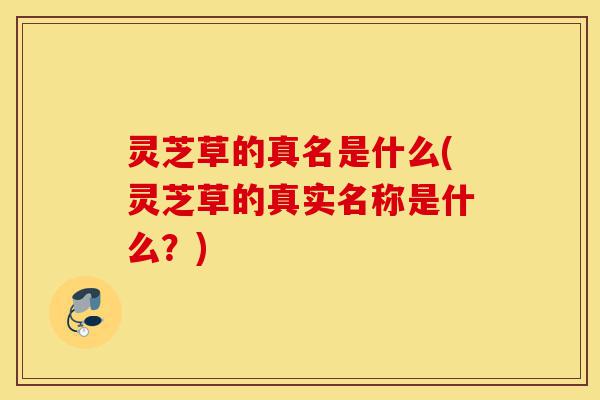 灵芝草的真名是什么(灵芝草的真实名称是什么?)-第1张图片-灵芝之家 灵芝草的真名是什么(灵芝草的真实名称是什么?)-第1张图片-灵芝之家