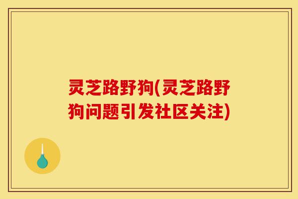 灵芝路野狗(灵芝路野狗问题引发社区关注)-第1张图片-灵芝之家