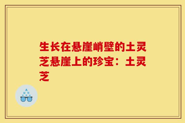 生长在悬崖峭壁的土灵芝悬崖上的珍宝:土灵芝-第1张图片-灵芝之家 生长在悬崖峭壁的土灵芝悬崖上的珍宝:土灵芝-第1张图片-灵芝之家