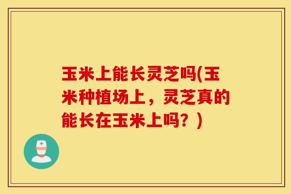 玉米上能长灵芝吗(玉米种植场上，灵芝真的能长在玉米上吗？)-第1张图片-灵芝之家