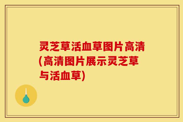 灵芝草活血草图片高清(高清图片展示灵芝草与活血草)-第1张图片-灵芝之家