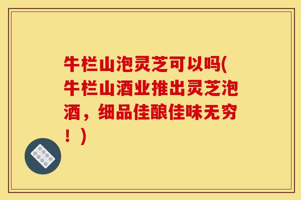 牛栏山泡灵芝可以吗(牛栏山酒业推出灵芝泡酒，细品佳酿佳味无穷！)-第1张图片-灵芝之家