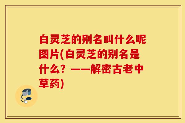 白灵芝的别名叫什么呢图片(白灵芝的别名是什么?——解密古老中草药)-第1张图片-灵芝之家 白灵芝的别名叫什么呢图片(白灵芝的别名是什么?——解密古老中草药)-第1张图片-灵芝之家