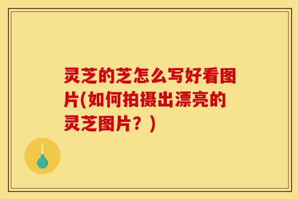 灵芝的芝怎么写好看图片(如何拍摄出漂亮的灵芝图片?)-第1张图片-灵芝之家 灵芝的芝怎么写好看图片(如何拍摄出漂亮的灵芝图片?)-第1张图片-灵芝之家