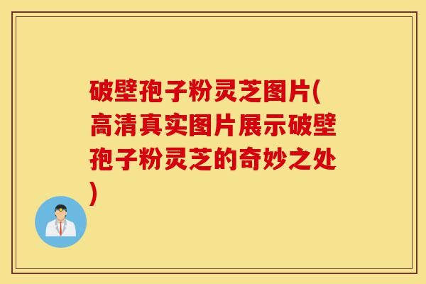 破壁孢子粉灵芝图片(高清真实图片展示破壁孢子粉灵芝的奇妙之处)-第1张图片-灵芝之家 破壁孢子粉灵芝图片(高清真实图片展示破壁孢子粉灵芝的奇妙之处)-第1张图片-灵芝之家
