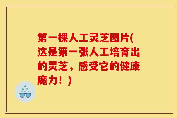 第一棵人工灵芝图片(这是第一张人工培育出的灵芝，感受它的健康魔力！)-第1张图片-灵芝之家