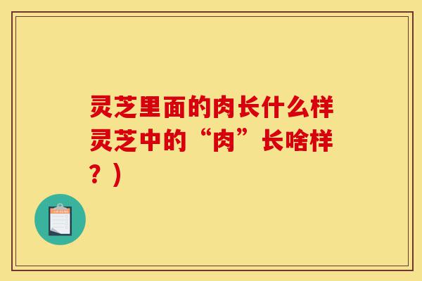 灵芝里面的肉长什么样灵芝中的“肉”长啥样?)-第1张图片-灵芝之家 灵芝里面的肉长什么样灵芝中的“肉”长啥样?)-第1张图片-灵芝之家