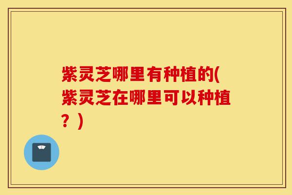 紫灵芝哪里有种植的(紫灵芝在哪里可以种植?)-第1张图片-灵芝之家 紫灵芝哪里有种植的(紫灵芝在哪里可以种植?)-第1张图片-灵芝之家