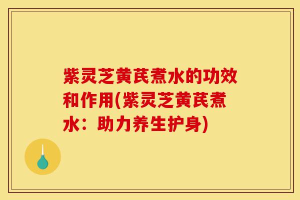 紫灵芝黄芪煮水的功效和作用(紫灵芝黄芪煮水：助力养生护身)-第1张图片-灵芝之家