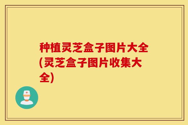 种植灵芝盒子图片大全(灵芝盒子图片收集大全)-第1张图片-灵芝之家 种植灵芝盒子图片大全(灵芝盒子图片收集大全)-第1张图片-灵芝之家