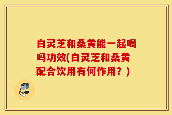 白灵芝和桑黄能一起喝吗功效(白灵芝和桑黄配合饮用有何作用?)-第1张图片-灵芝之家 白灵芝和桑黄能一起喝吗功效(白灵芝和桑黄配合饮用有何作用?)-第1张图片-灵芝之家