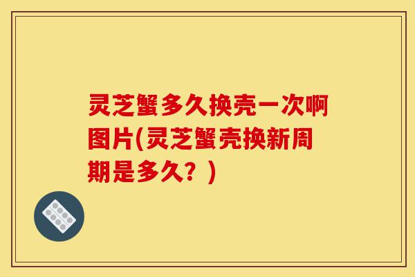 灵芝蟹多久换壳一次啊图片(灵芝蟹壳换新周期是多久？)-第1张图片-灵芝之家