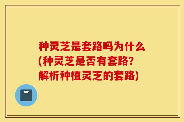 种灵芝是套路吗为什么(种灵芝是否有套路?解析种植灵芝的套路)-第1张图片-灵芝之家 种灵芝是套路吗为什么(种灵芝是否有套路?解析种植灵芝的套路)-第1张图片-灵芝之家