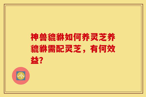 神兽貔貅如何养灵芝养貔貅需配灵芝,有何效益?-第1张图片-灵芝之家 神兽貔貅如何养灵芝养貔貅需配灵芝,有何效益?-第1张图片-灵芝之家