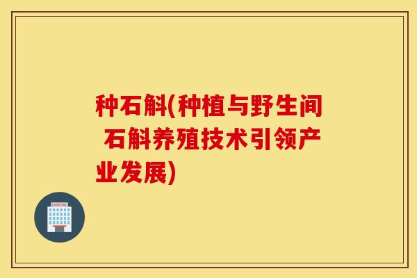种石斛(种植与野生间 石斛养殖技术引领产业发展)-第1张图片-灵芝之家 种石斛(种植与野生间 石斛养殖技术引领产业发展)-第1张图片-灵芝之家