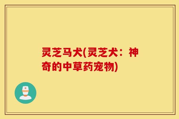灵芝马犬(灵芝犬:神奇的中草药宠物)-第1张图片-灵芝之家 灵芝马犬(灵芝犬:神奇的中草药宠物)-第1张图片-灵芝之家