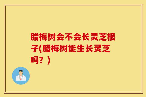 腊梅树会不会长灵芝根子(腊梅树能生长灵芝吗？)-第1张图片-灵芝之家