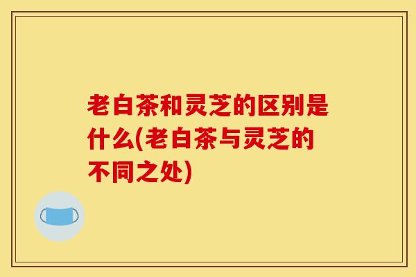 老白茶和灵芝的区别是什么(老白茶与灵芝的不同之处)-第1张图片-灵芝之家