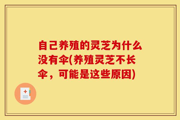 自己养殖的灵芝为什么没有伞(养殖灵芝不长伞,可能是这些原因)-第1张图片-灵芝之家 自己养殖的灵芝为什么没有伞(养殖灵芝不长伞,可能是这些原因)-第1张图片-灵芝之家