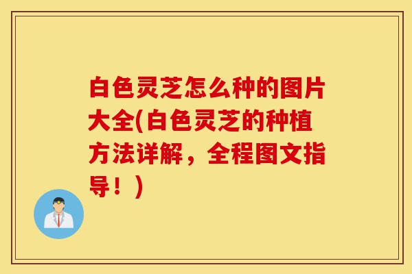 白色灵芝怎么种的图片大全(白色灵芝的种植方法详解,全程图文指导!)-第1张图片-灵芝之家 白色灵芝怎么种的图片大全(白色灵芝的种植方法详解,全程图文指导!)-第1张图片-灵芝之家
