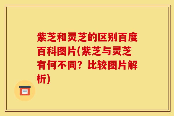 紫芝和灵芝的区别百度百科图片(紫芝与灵芝有何不同?比较图片解析)-第1张图片-灵芝之家 紫芝和灵芝的区别百度百科图片(紫芝与灵芝有何不同?比较图片解析)-第1张图片-灵芝之家