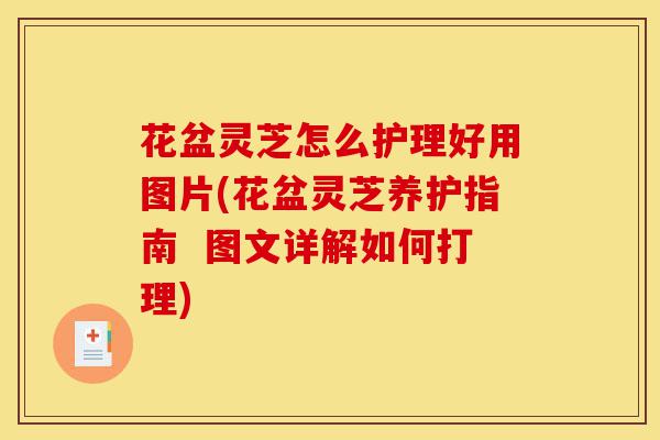 花盆灵芝怎么护理好用图片(花盆灵芝养护指南 图文详解如何打理)-第1张图片-灵芝之家 花盆灵芝怎么护理好用图片(花盆灵芝养护指南 图文详解如何打理)-第1张图片-灵芝之家