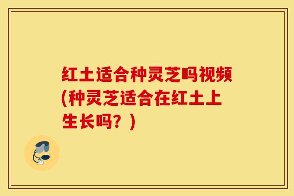 红土适合种灵芝吗视频(种灵芝适合在红土上生长吗?)-第1张图片-灵芝之家 红土适合种灵芝吗视频(种灵芝适合在红土上生长吗?)-第1张图片-灵芝之家