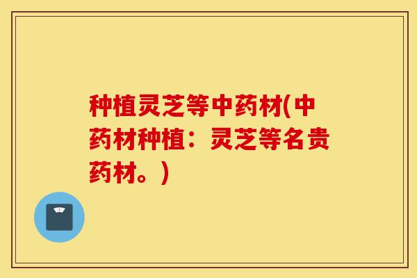 种植灵芝等中药材(中药材种植：灵芝等名贵药材。)-第1张图片-灵芝之家