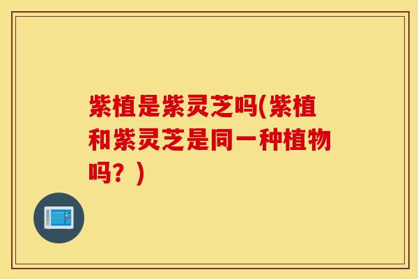 紫植是紫灵芝吗(紫植和紫灵芝是同一种植物吗?)-第1张图片-灵芝之家 紫植是紫灵芝吗(紫植和紫灵芝是同一种植物吗?)-第1张图片-灵芝之家