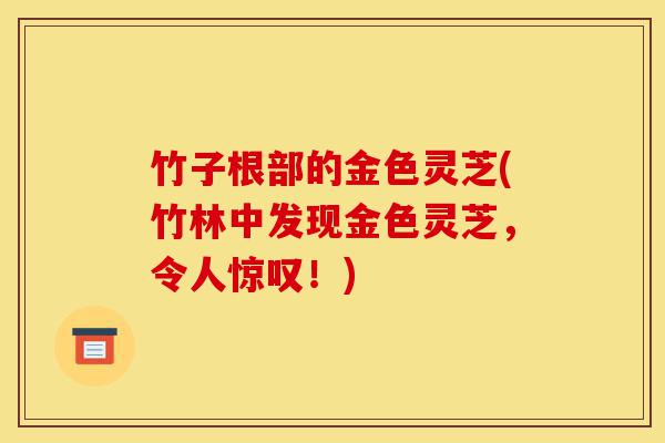 竹子根部的金色灵芝(竹林中发现金色灵芝,令人惊叹!)-第1张图片-灵芝之家 竹子根部的金色灵芝(竹林中发现金色灵芝,令人惊叹!)-第1张图片-灵芝之家