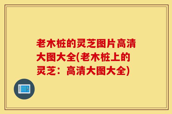 老木桩的灵芝图片高清大图大全(老木桩上的灵芝：高清大图大全)-第1张图片-灵芝之家