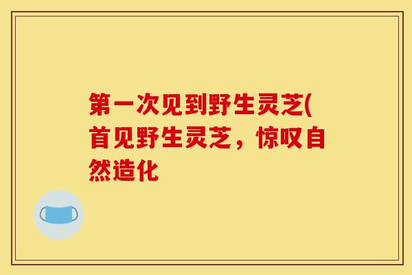 第一次见到野生灵芝(首见野生灵芝,惊叹自然造化-第1张图片-灵芝之家 第一次见到野生灵芝(首见野生灵芝,惊叹自然造化-第1张图片-灵芝之家