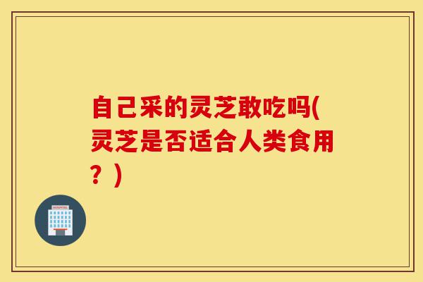 自己采的灵芝敢吃吗(灵芝是否适合人类食用?)-第1张图片-灵芝之家 自己采的灵芝敢吃吗(灵芝是否适合人类食用?)-第1张图片-灵芝之家
