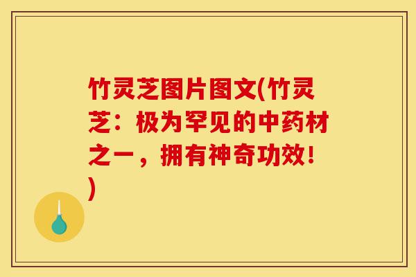 竹灵芝图片图文(竹灵芝：极为罕见的中药材之一，拥有神奇功效！)-第1张图片-灵芝之家