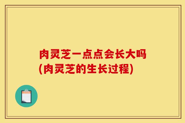 肉灵芝一点点会长大吗(肉灵芝的生长过程)-第1张图片-灵芝之家 肉灵芝一点点会长大吗(肉灵芝的生长过程)-第1张图片-灵芝之家