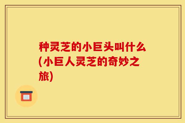 种灵芝的小巨头叫什么(小巨人灵芝的奇妙之旅)-第1张图片-灵芝之家 种灵芝的小巨头叫什么(小巨人灵芝的奇妙之旅)-第1张图片-灵芝之家