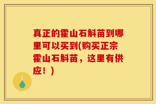 真正的霍山石斛苗到哪里可以买到(购买正宗霍山石斛苗，这里有供应！)-第1张图片-灵芝之家