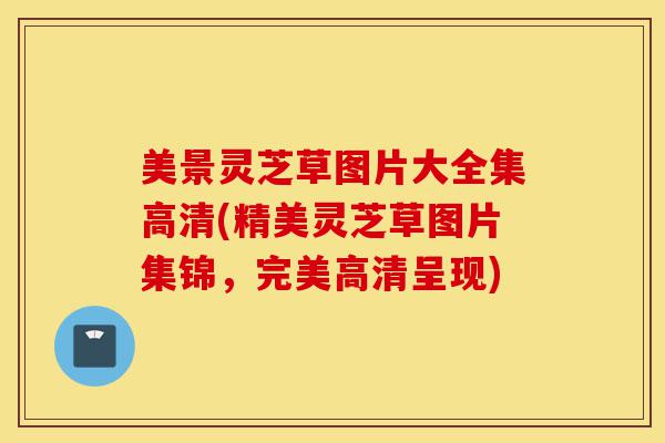 美景灵芝草图片大全集高清(精美灵芝草图片集锦,完美高清呈现)-第1张图片-灵芝之家 美景灵芝草图片大全集高清(精美灵芝草图片集锦,完美高清呈现)-第1张图片-灵芝之家